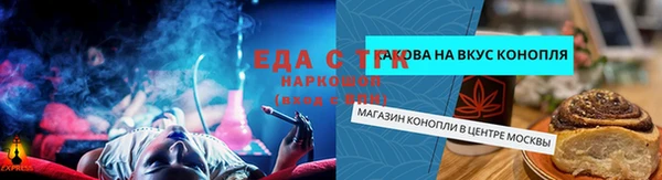 mdpv Вяземский