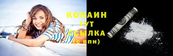 стафф Вязьма