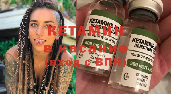стафф Вязьма