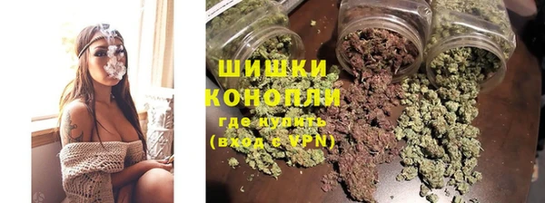 mdpv Вяземский