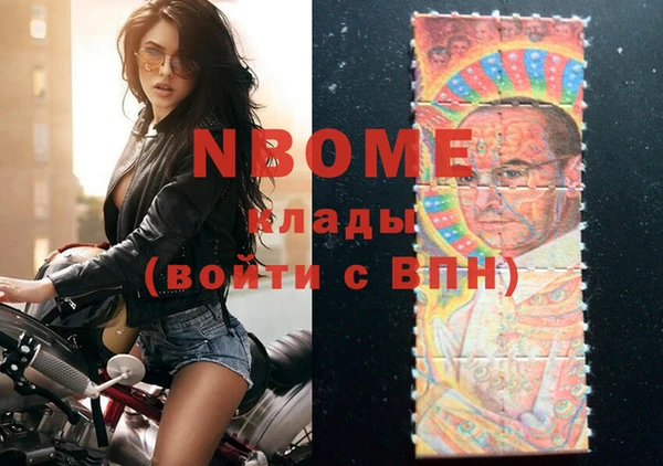 стафф Вязьма