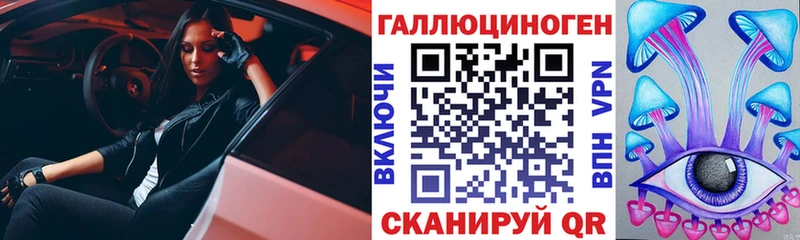 Галлюциногенные грибы Psilocybine cubensis  Купить где  Касимов 